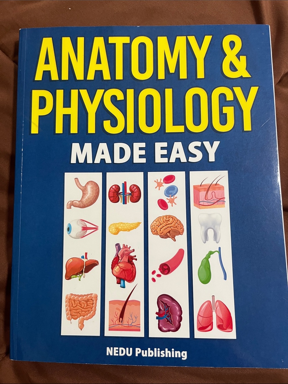 Anatomy & Physiology Made Easy - Blue Cover by